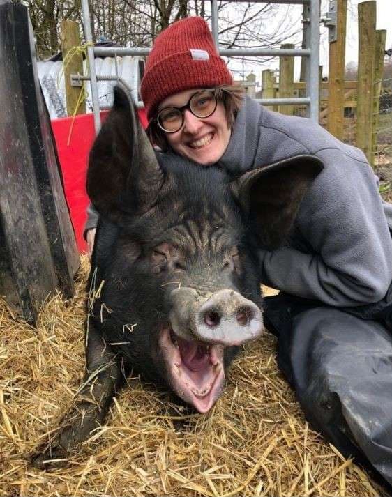 A volunteer smiling with a rescued pig at an animal sanctuary